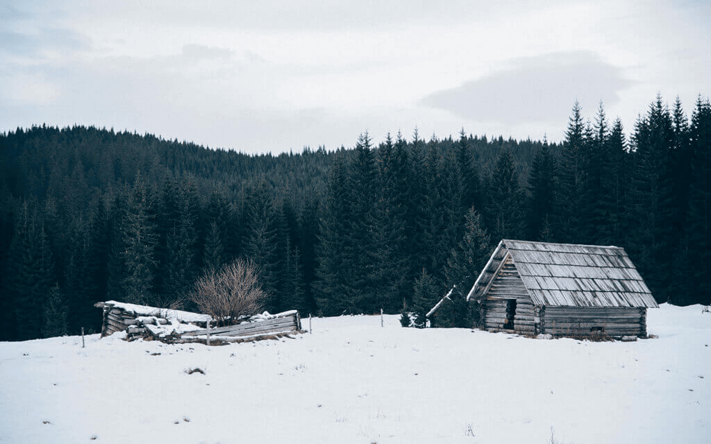 Training Grounds